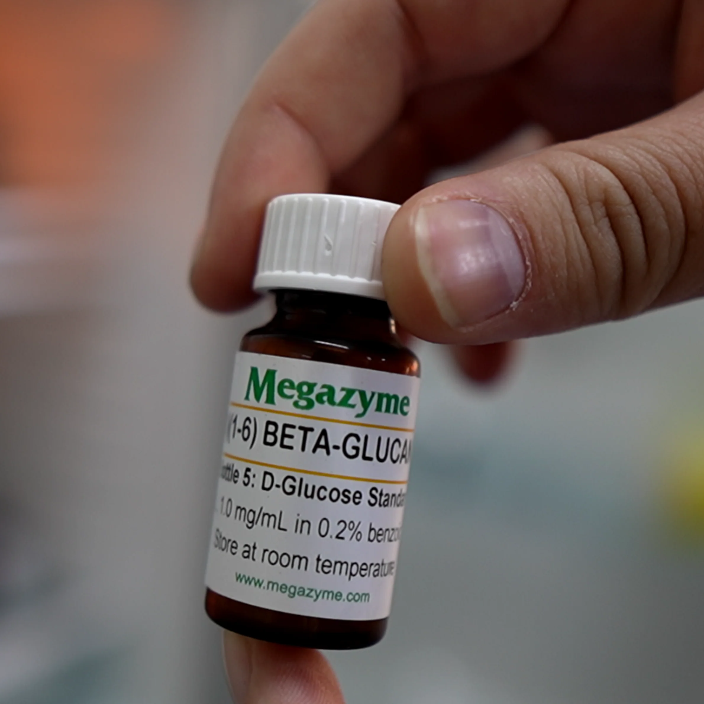 Maitake (Grifola frondosa) Capsules - Image 4