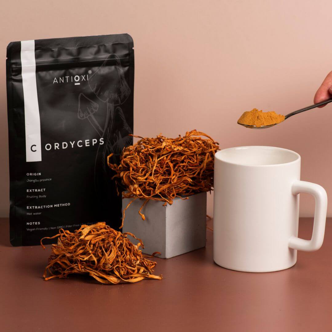 Cordyceps