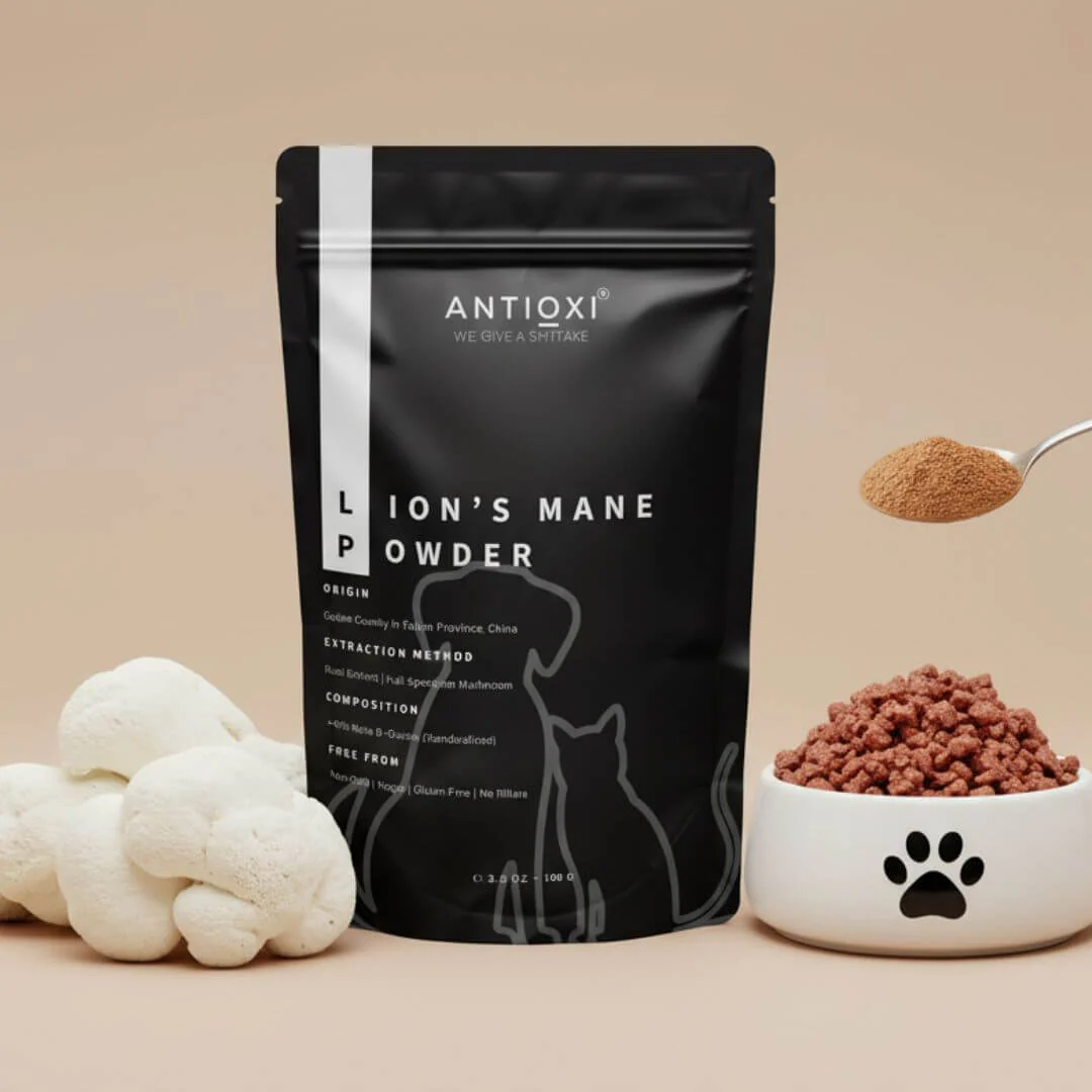 Lion's Mane | Pets
