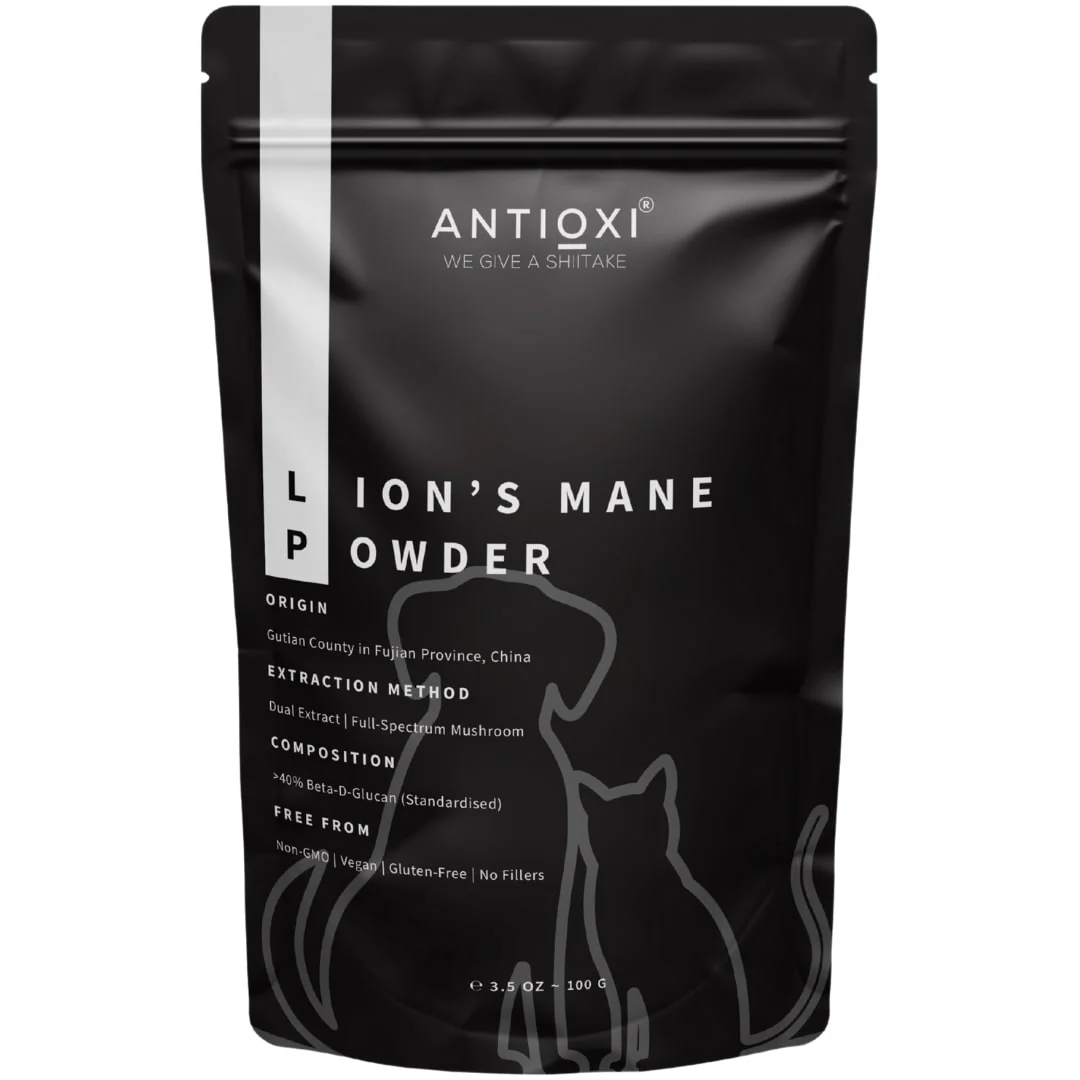 Lion's Mane | Pets - Image 6