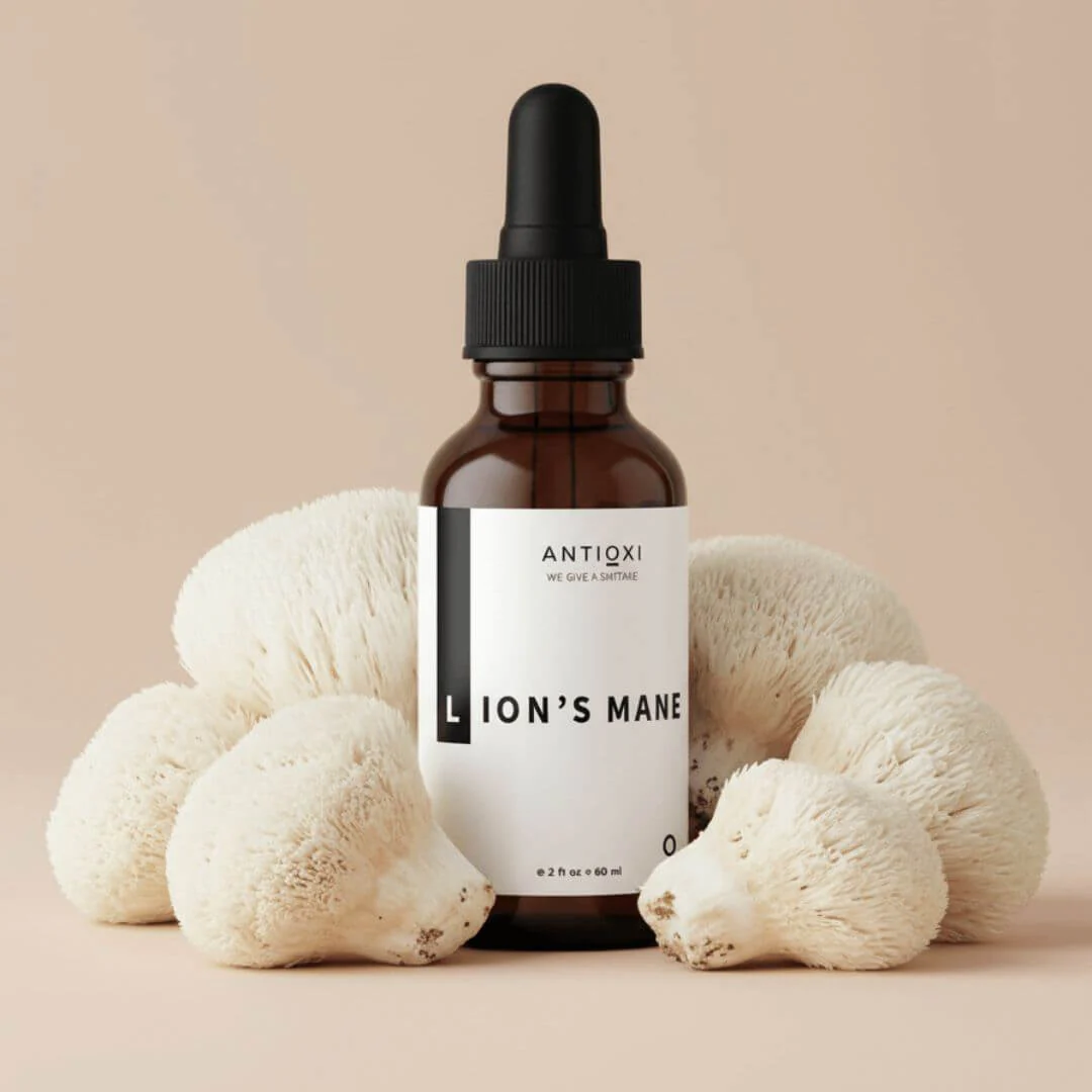 Lion's Mane Tincture