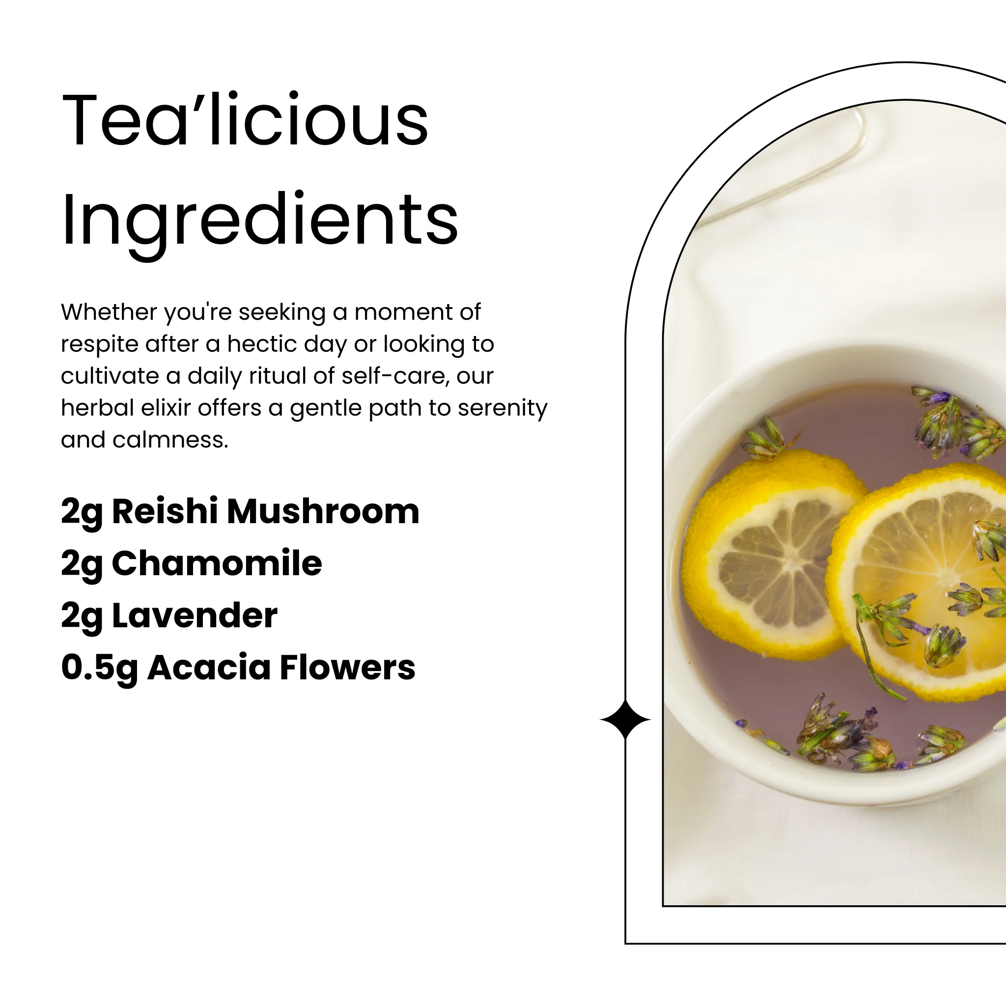 Mushroom Tea Bundle - Image 3