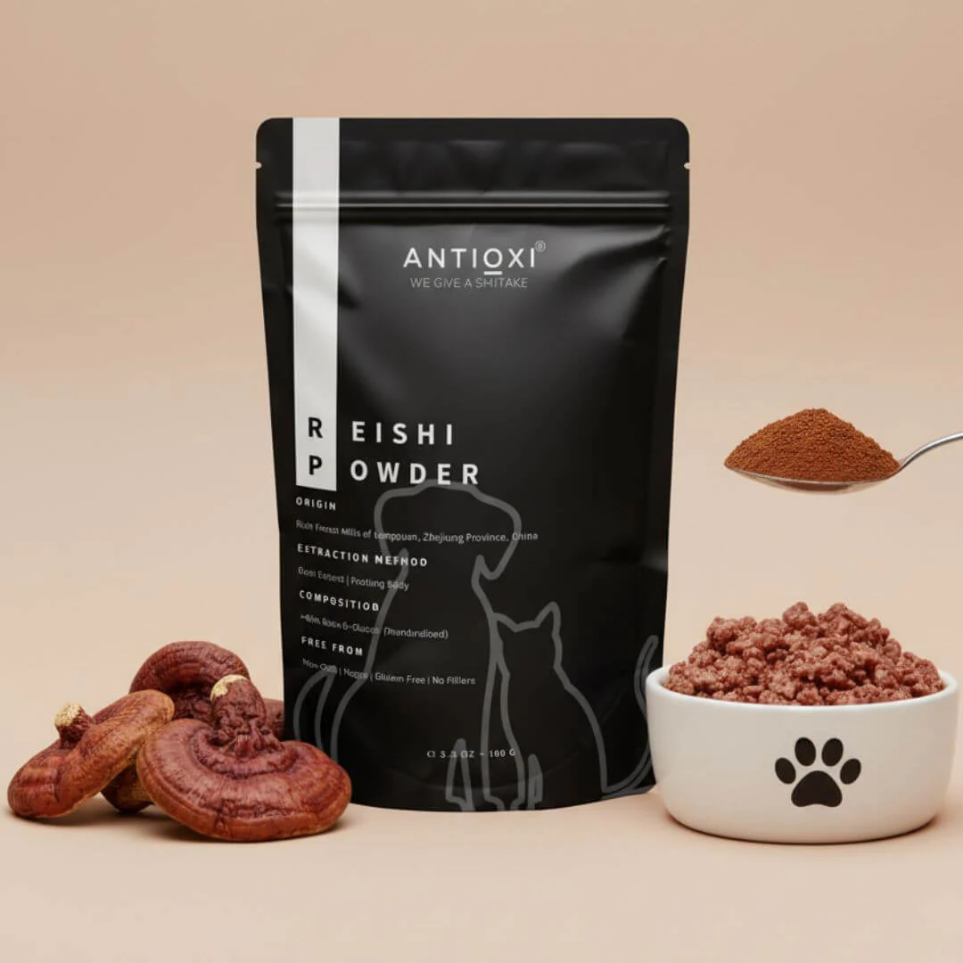 Reishi | Pets