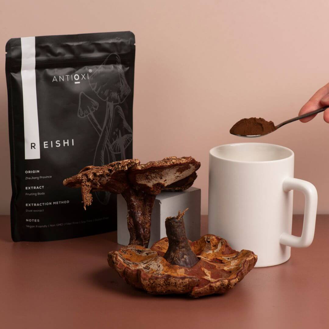 Reishi (Ganoderma lucidum)